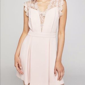 BCBG generation pink lace front mini dress